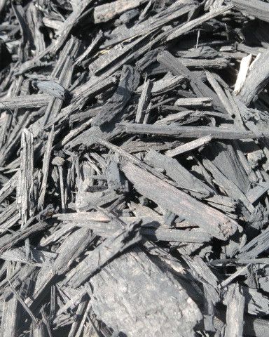 Img 2536 Coloured Black Mulch