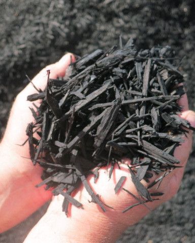 Img 2538 Coloured Black Mulch