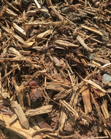 Img 2546 Bush Leaf Mulch