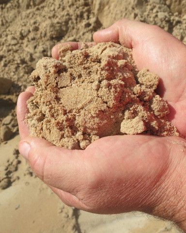 Img 2519 White Mukadilla Brick Sand