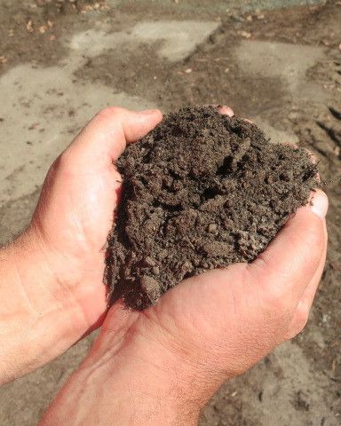 Img 2553 Organic Soil